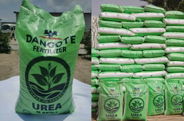 Dangote Fertilizer