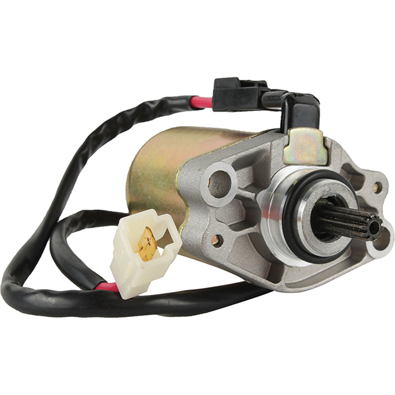 Arrowhead Mitsuba 12V 10T Str. 410-54236