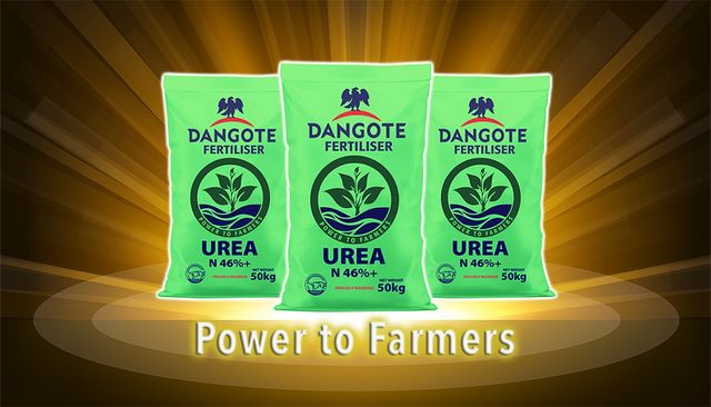 Dangote Fertilizer
