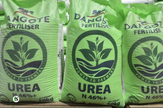 Dangote Fertilizer
