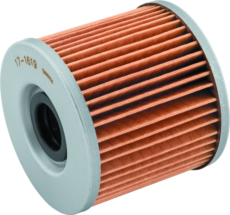 BikeMaster Suzuki BM-133 Oil Filter - Black 171619